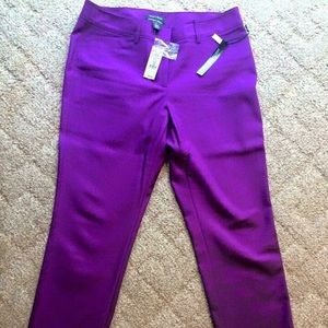 NWT White House Black Market Perfect Form Pant