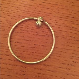 Silver Pandora Bangle