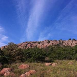 Meet your Posher, Tami