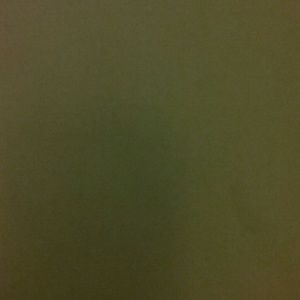 Meet your Posher, Dennis