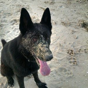 Meet your Posher, Beata