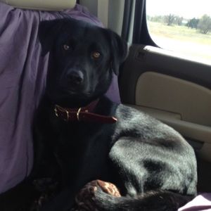 Meet your Posher, Danielle