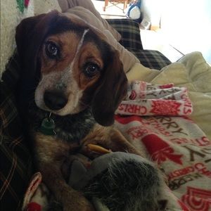 Meet your Posher, Marcy