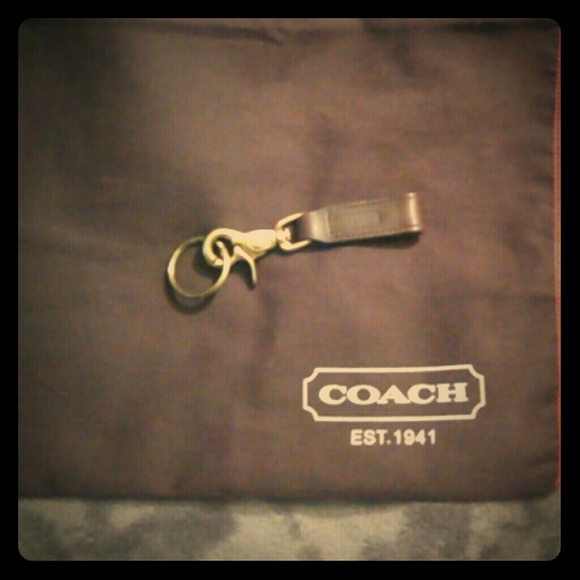 Large brown Coach dust bag