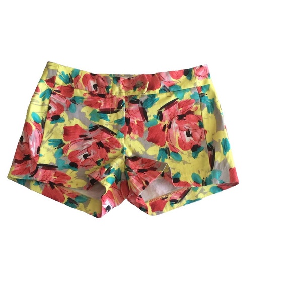 J. Crew Pants - ❌SOLD❌Size 00 J. Crew Floral Brush Stroke Shorts
