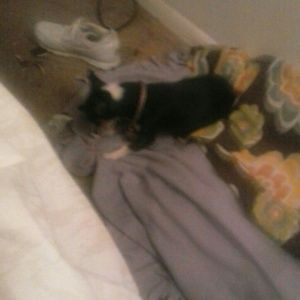 Meet your Posher, Veronica