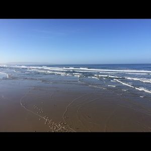 Meet your Posher, Sally