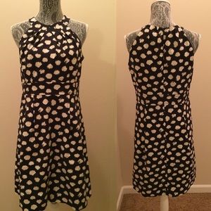 LOFT Polka Dot Dress