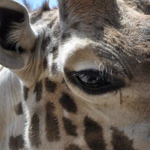 Meet your Posher, Kellie