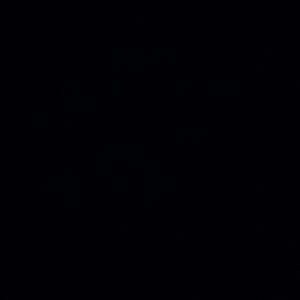 Meet your Posher, Gigi