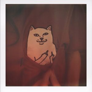 Meet your Posher, Alexandra