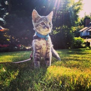 Meet your Posher, Anna