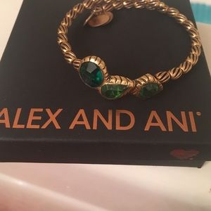 Alex and Ani Vintage 66