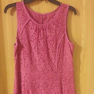 Beautiful Studio One Fuscia Lace Dress NWOT