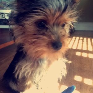 Meet your Posher, Alejandra