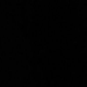 Meet your Posher, Shayla