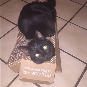 Meet your Posher, Shannon