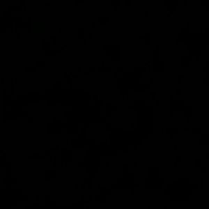 Meet your Posher, Aissatou