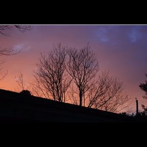 Meet your Posher, Michaela