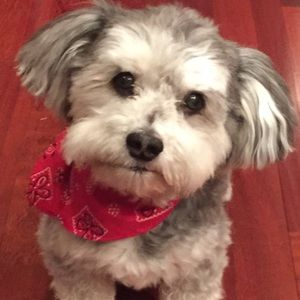 Meet your Posher, Lorie