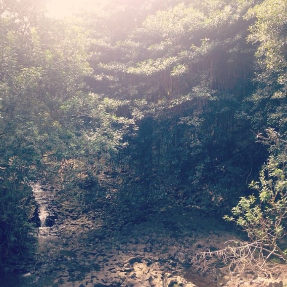 Meet your Posher, Alex - Picture 1 of 1