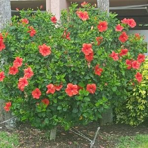 Meet your Posher, Krystyna