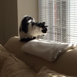 Meet your Posher, Mackenzie