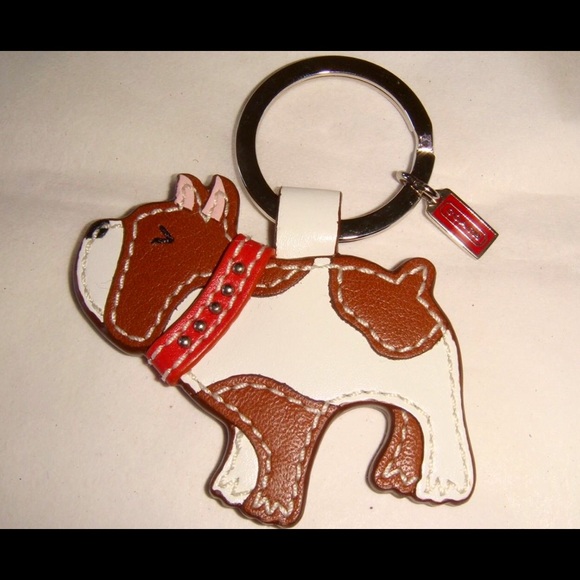 Looking to Buy this cutie! 🐶