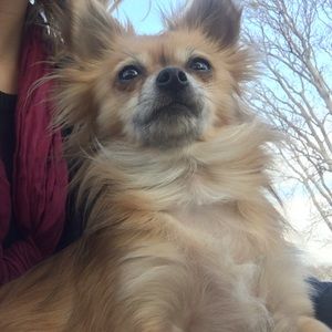 Meet your Posher, Lauren