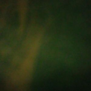 Meet your Posher, Priscila