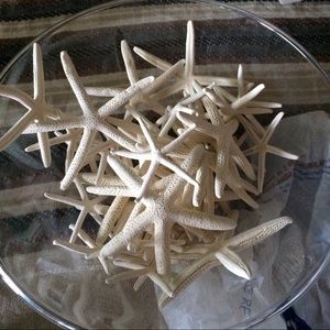 Starfish about 30
