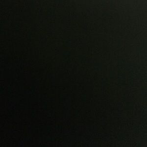 Meet your Posher, Baylee