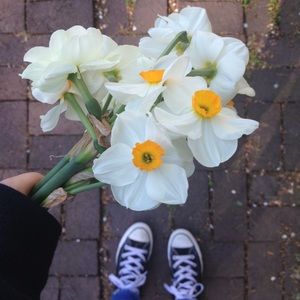 Meet your Posher, Anna