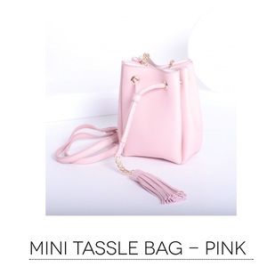 Sorella Boutique Mini Tassle Bag in Pink
