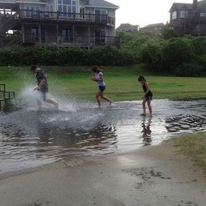 Meet your Posher, Maddie