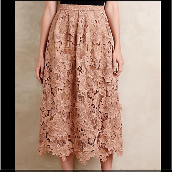Anthropologie Dresses & Skirts - Anthropologie appliqué midi