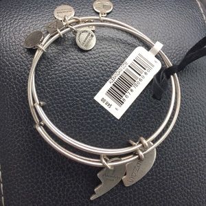 Silver best friend Alex and Ani bangles