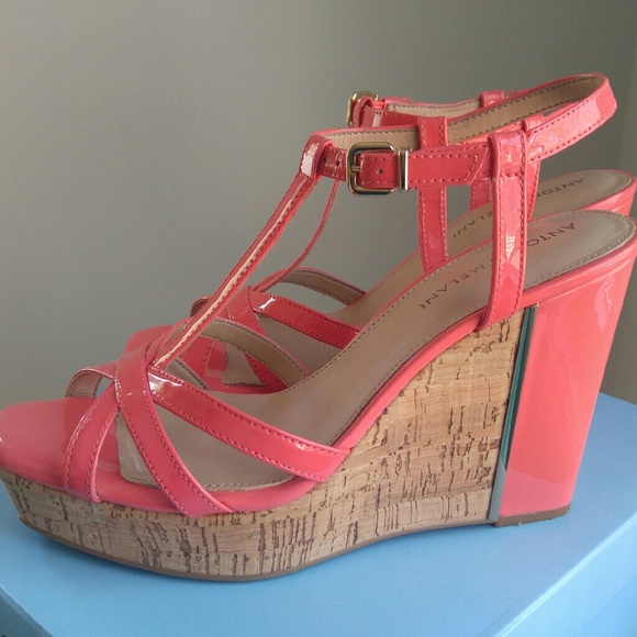 Antonio Melanie Selma Wedge High Heels