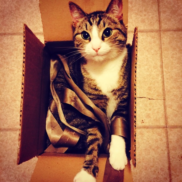 Meet your Posher, Angela - Picture 4 of 4