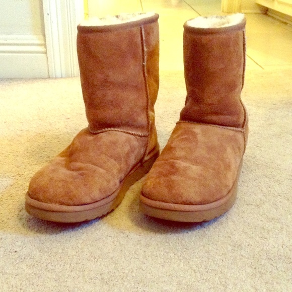 UGG Shoes - Women's classic short chestnut UGGs