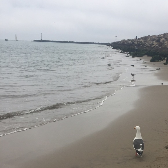 Meet your Posher, Diana - Picture 1 of 1