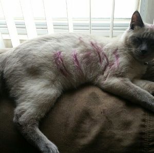 Meet your Posher, Michelle