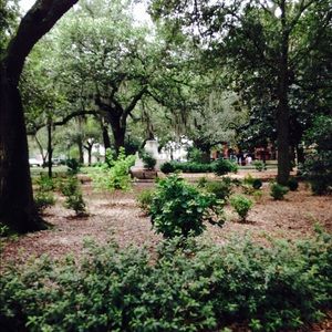 Meet your Posher, Elena