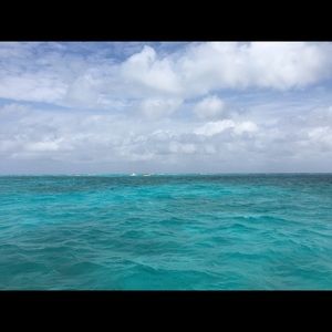 Meet your Posher, Patty