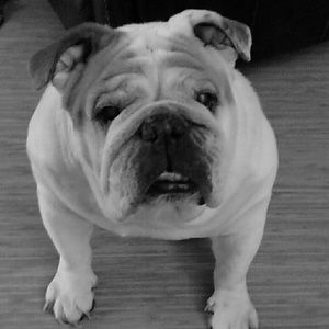 Don't forget to bundle &/or make your best offer!