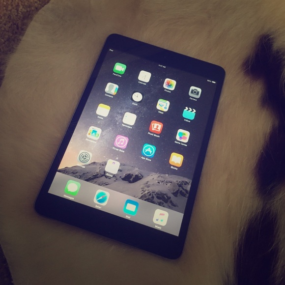 16 GB iPad mini- Speck case included.