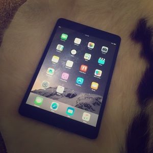 16 GB iPad mini- Speck case included.