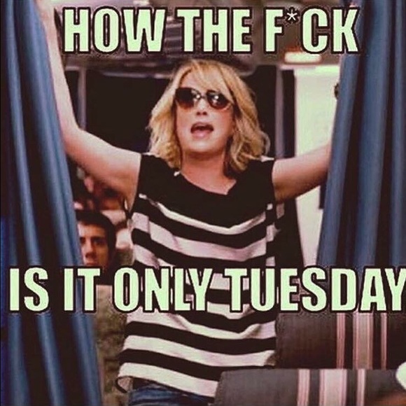 Meet your Posher, Lela - Picture 1 of 1