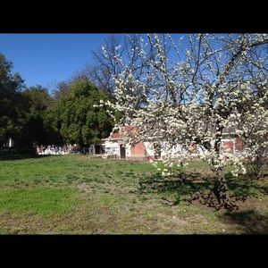 Meet your Posher, Katlen