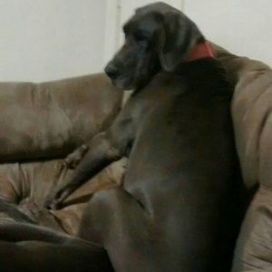 Meet your Posher, Marcie